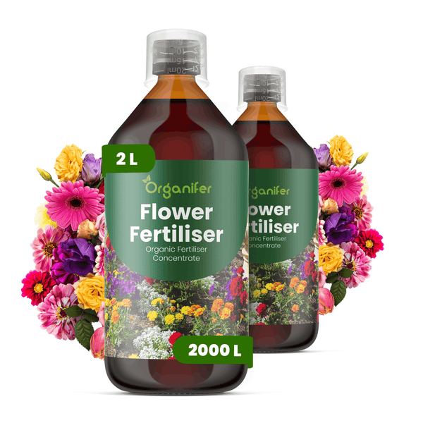 Organifer Organischer Blumendünger Konzentrat, 2 Liter Flasche für 2000 Liter Gießwasser, mit bunten Blumen.