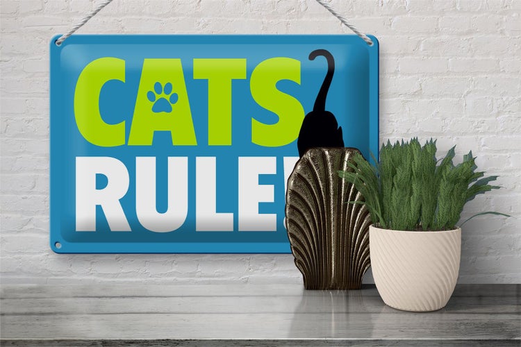 Blechschild Spruch 30x20cm cats rule Katze