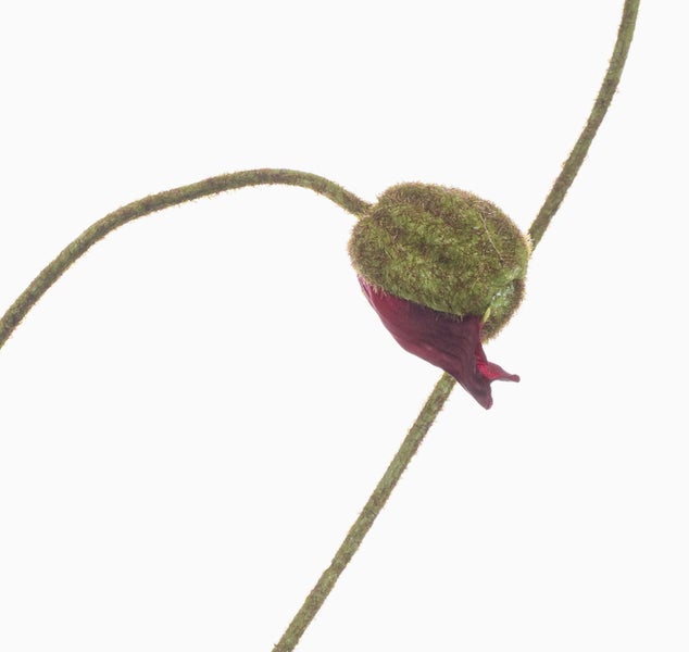 Künstlicher Zweig mit grünen Blättern und pinken Blüten für die Innendekoration.