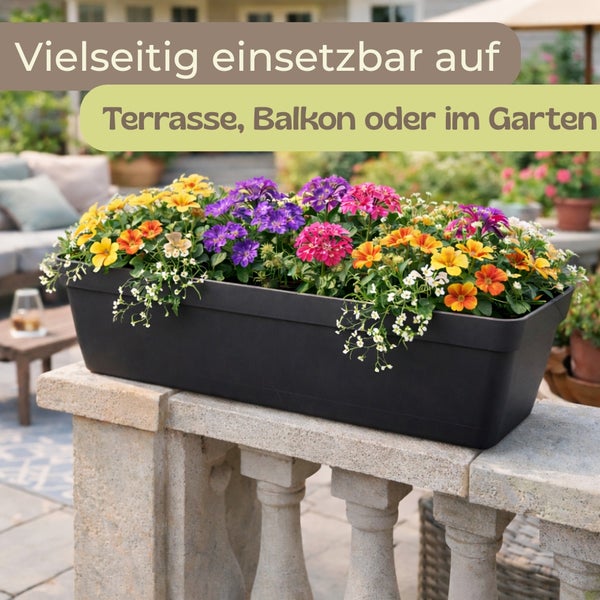 Rechteckiger Blumenkasten mit bunten Blumen auf einer Balustrade