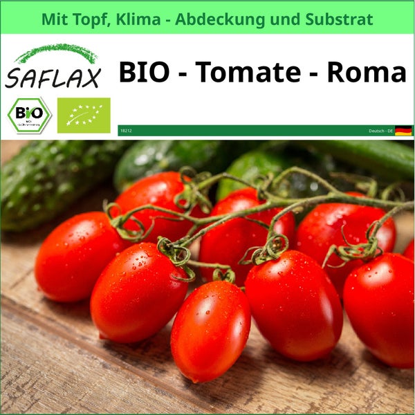 SAFLAX Garden to go - BIO - Tomate - Roma - Solanum lycopersicum - 15 Samen - Mit Topf, Klima - Deckel und Anzuchtsubstrat