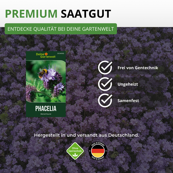 Samentüte für Phacelia Bienenfreund von Deine Gartenwelt. Frei von Gentechnik, ungeheizt und samenfest. Hergestellt in Deutschland.