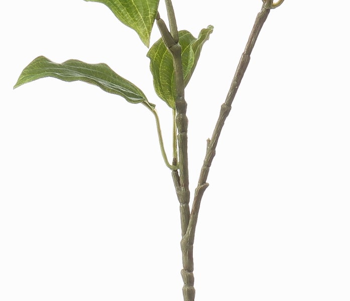 Detailansicht einer künstlichen Graspflanze mit langen, schmalen dunkelgrünen Blättern.