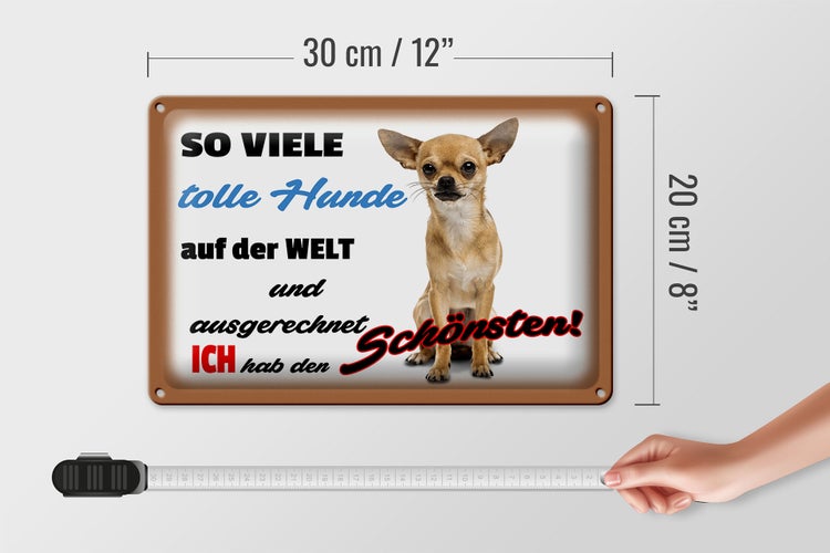 Blechschild Spruch 30x20cm ich hab den schönsten Hund