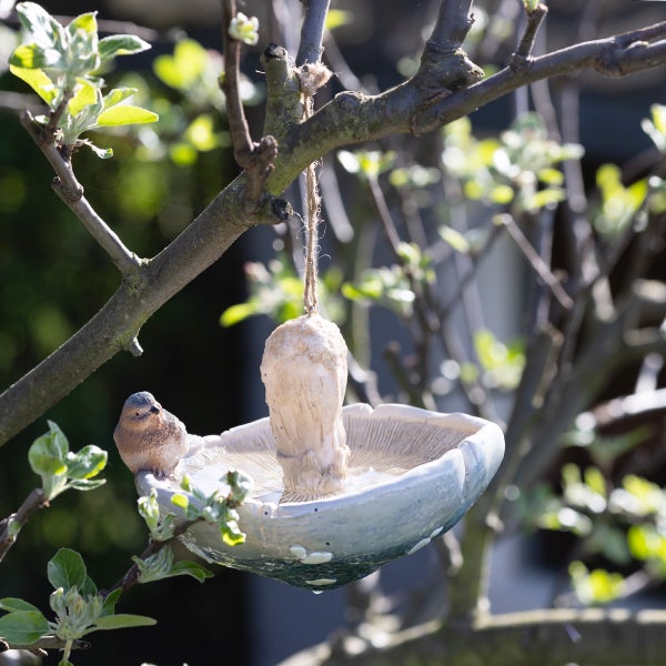 Dekorative Vogeltränke in Pilzform mit Vogel auf einem Baum