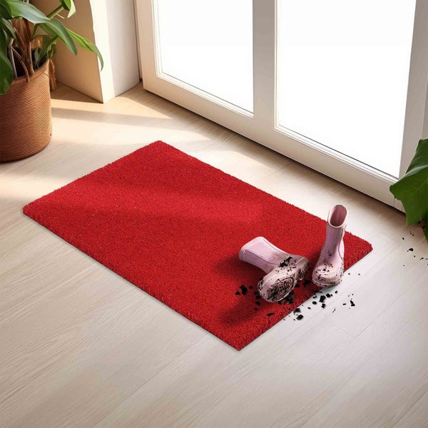 Fußmatte In- und Outdoor COCO COLOR T Rot 40 x 60 cm