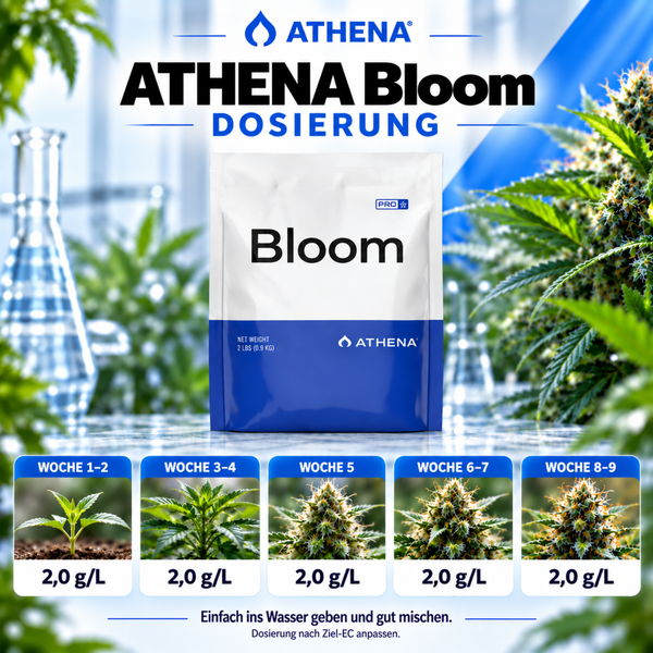 Athena Bloom Pflanzendünger Beutel mit Dosierungstabelle für verschiedene Wachstumsphasen und Athena Logo.