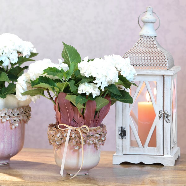 Dekoratives Arrangement mit Hortensien in verzierten Töpfen und einer Laterne mit Kerze auf einem Holztisch