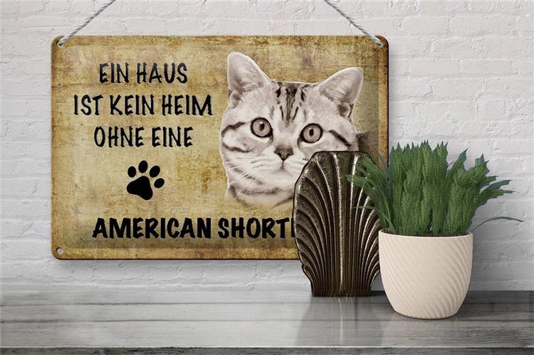 Blechschild Spruch 30x20cm American Shorthair ohne kein Heim