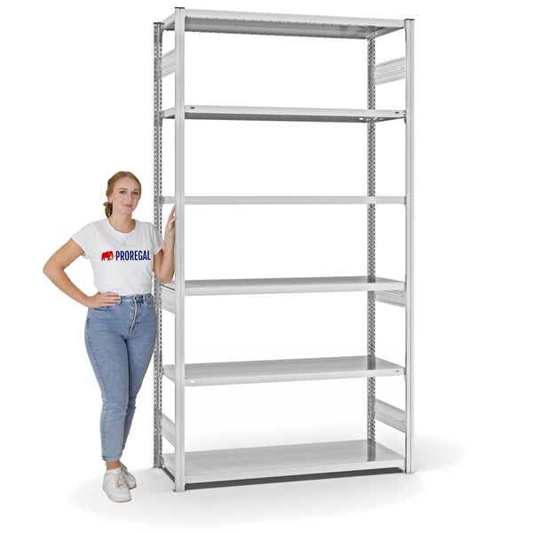 PROREGAL Fachbodenregal Stecksystem T-Profil Heavy-Duty Grundregal HxBxT 250 x 130 x 50 cm 6 Ebenen Fachlast 330 kg Beidseitig Nutzbar Lichtgrau