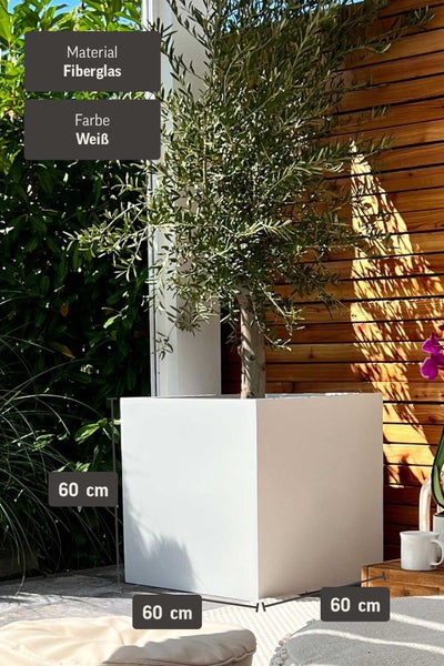 Quadratischer Pflanzkübel aus Fiberglas in Weiß, Maße 60 mal 60 mal 60 Zentimeter, bepflanzt mit einem Baum auf einer Terrasse vor einer Holzwand.