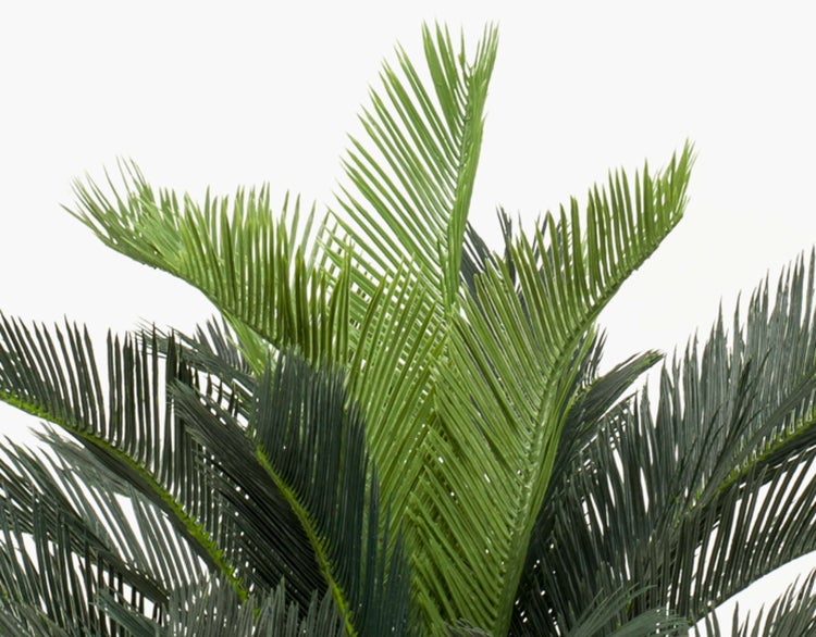 Nahaufnahme einer künstlichen Cycas Palme mit grünen fächerartigen Blättern aus Kunststoff.