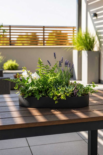 Ovale, flache Pflanzschale in Schwarz auf einem Holztisch, bepflanzt mit Lavendel, Orchideen, Farn und Efeu auf einer hellen Terrasse.