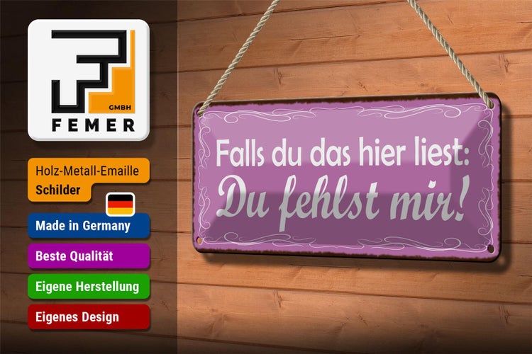 Blechschild Spruch 27x10cm falls du das liest Du fehlst mir Dekoration