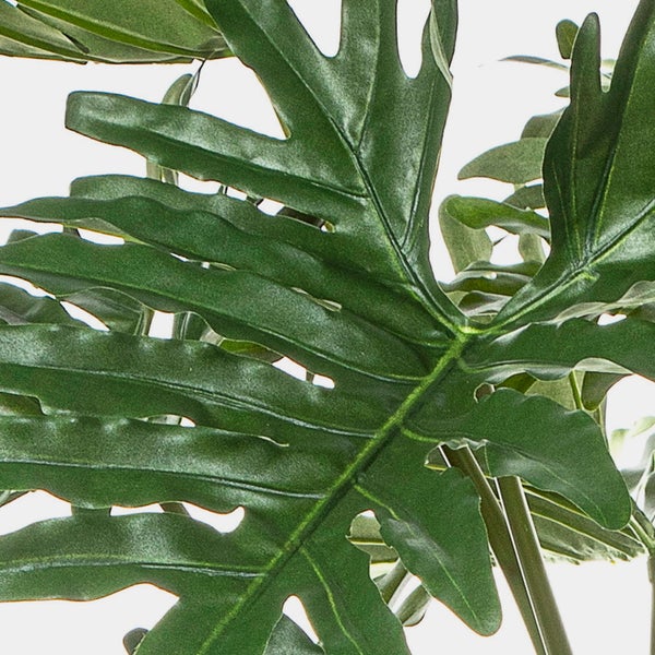 Künstliche Kakteenzweige in Grün mit kleinen Stacheln in der Nahaufnahme.