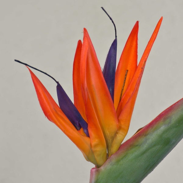 Künstliche Strelitzie MELIORN, orange-violett, 85cm - Kunst Strelitzie