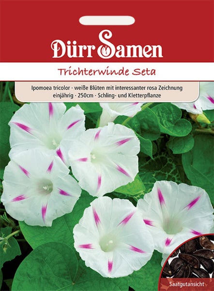 Samentüte für Trichterwinde Seta, Ipomoea tricolor, einjährige Kletterpflanze mit weißen Blüten und rosa Zeichnung, Dürr Samen Logo.