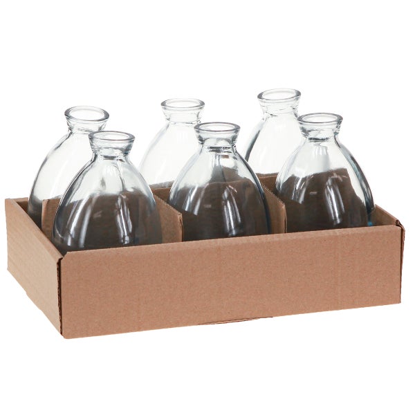 Sechs kleine bauchige Glasvasen aus Klarglas in einer Kartonhalterung.