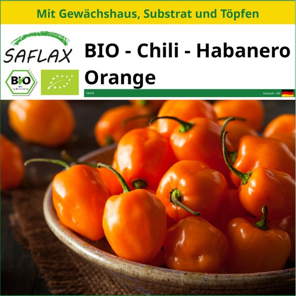 SAFLAX Anzucht Set - BIO - Chili - Habanero Orange - Capsicum annuum - 20 Samen - Mit Mini-Gewächshaus, Anzuchtsubstrat und 2 Töpfen