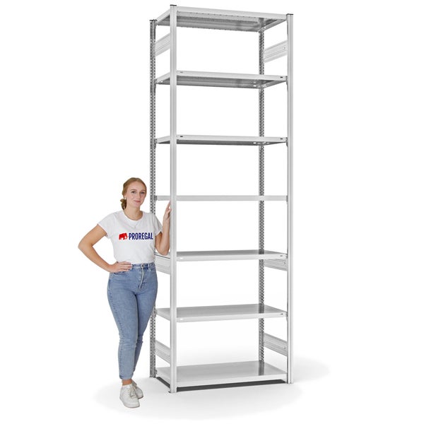 PROREGAL Fachbodenregal Stecksystem T-Profil Light-Duty Grundregal HxBxT 300 x 100 x 50 cm 7 Ebenen Fachlast 140 kg Beidseitig Nutzbar Lichtgrau