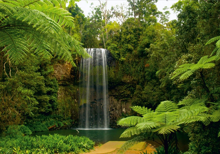 Landschaft mit Wasserfall und üppiger Vegetation