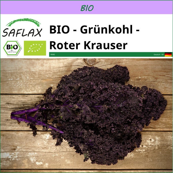 SAFLAX  - BIO - Grünkohl - Roter Krauser - Brassica oleracea var. sabellica - 50 Samen