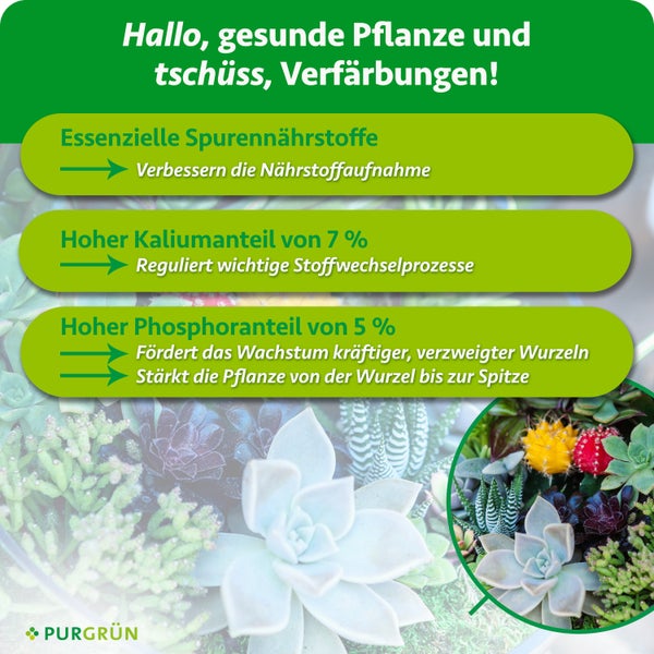 Infografik zum Purgruen Pflanzendünger mit Hinweisen zu Spurennährstoffen, Kaliumanteil von 7 Prozent und Phosphoranteil von 5 Prozent.
