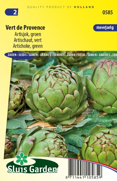 Artischockensamen für den Anbau von Gemüse