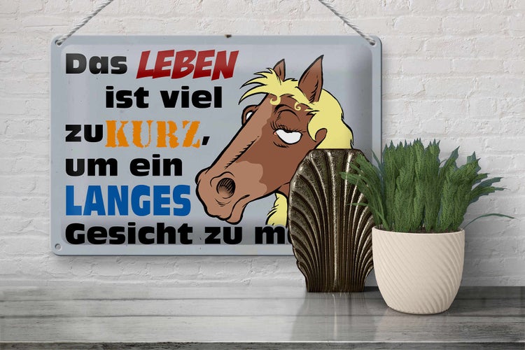 Blechschild Spruch 30x20cm das Leben ist zu kurz um Pferd