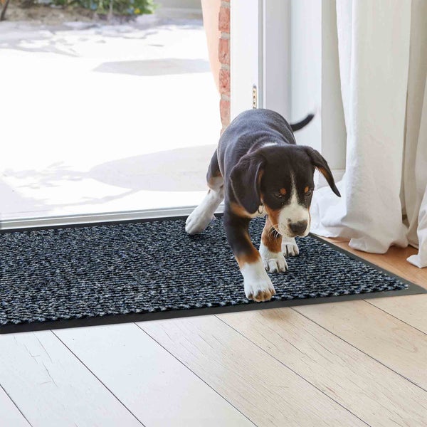 Schmutzfangmatte mit Hundewelpe vor einer Tür