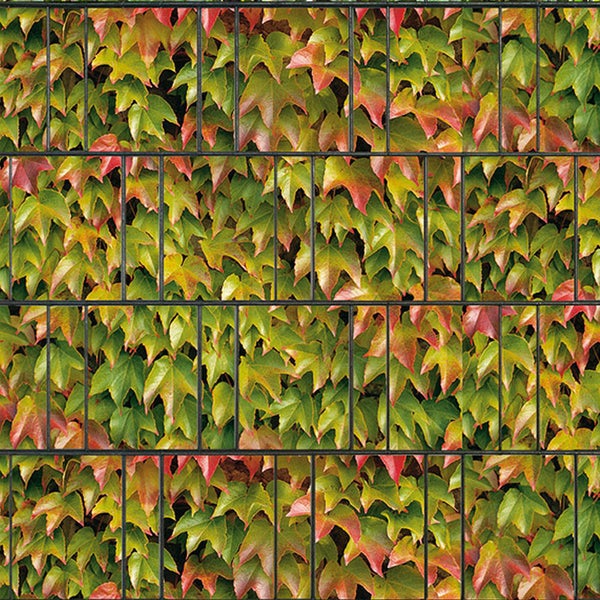 Gabione mit Kletterpflanzen für den Garten