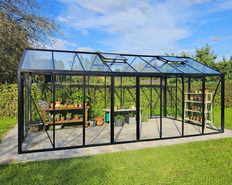 Großes Gewächshaus mit schwarzem Metallrahmen und Glasscheiben auf einer Pflasterfläche im Garten mit Regalen und geöffneten Dachfenstern.