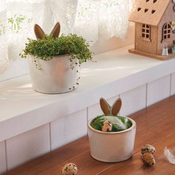 FRANK FLECHTWAREN|Pflanzer Hasenohren, 2er Set, 10,5 x 10,5 x 11 cm, 12 x 12 x 14,5 cm, PORZELLAN