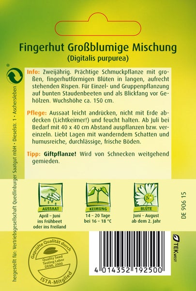 Rückseite der Samentüte für Fingerhut (Digitalis purpurea) mit Informationen zu Aussaat, Keimung, Blüte und dem Quedlinburger Saatgut Logo.