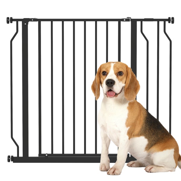 Schwarzes Absperrgitter aus Metall für Hunde mit einem davor sitzenden Beagle.