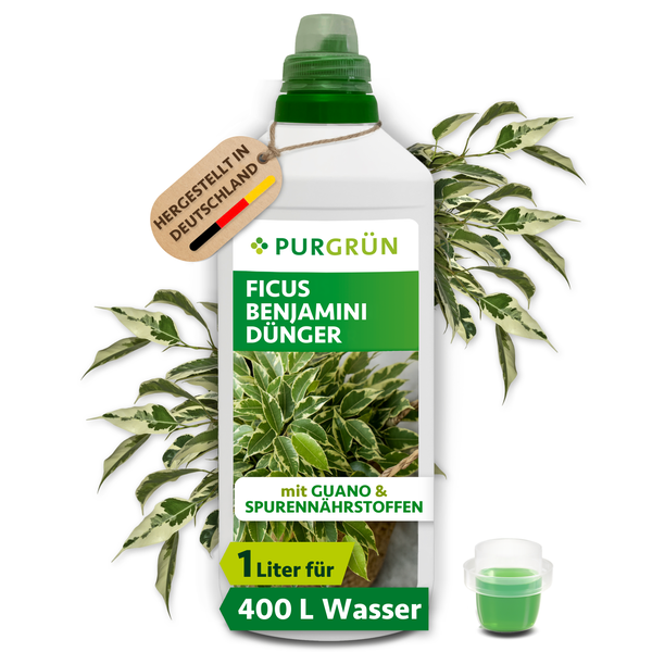 Purgrün Ficus Benjamini Dünger mit Guano und Spurennährstoffen in einer 1 Liter Flasche für 400 Liter Gießwasser, hergestellt in Deutschland