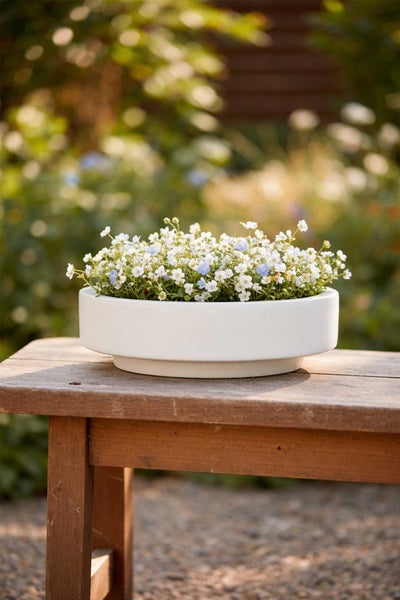 Runde, flache Pflanzschale in Weiß, bepflanzt mit kleinen weißen und blauen Blumen, steht auf einer Holzbank im Garten.