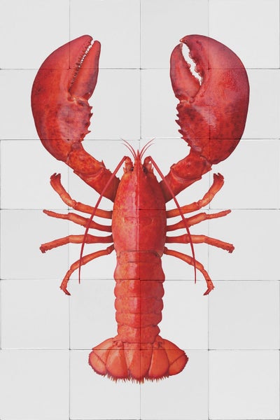 Roter Hummer auf weißen Fliesen