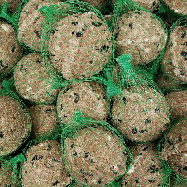 Mehrere Futterknödel für Vögel in grünen Netzen