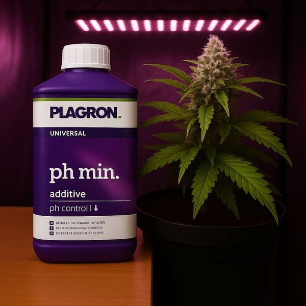Plagron Universal pH-Minus Zusatzstoff neben Topfpflanze unter Pflanzenlampe