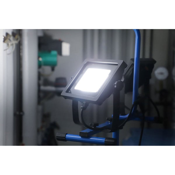 Pon Pon Formgehölze in schwarzen Töpfen auf einem Transportwagen in einer Gärtnerei.