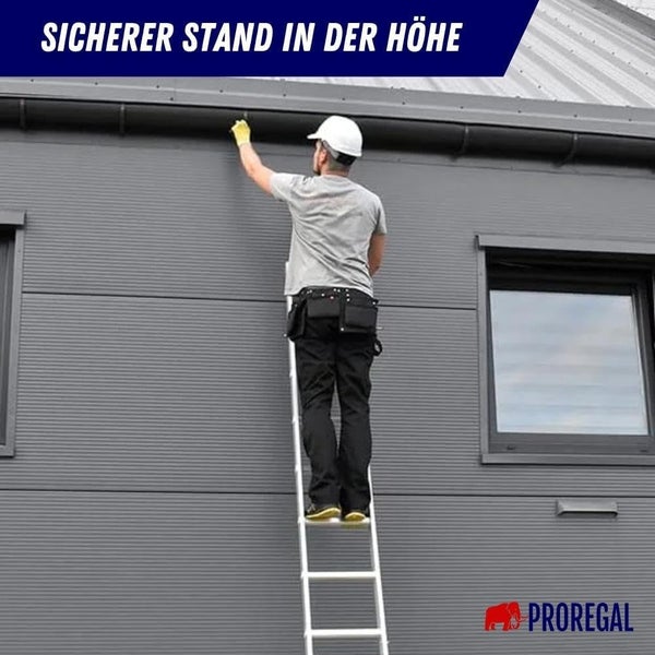 PROREGAL Sprossen-Anlegeleiter ATLAS Ohne Traverse 6 Sprossen Arbeitshöhe 2,69 m Traglast 150 kg