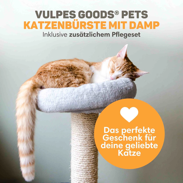 Katze schläft auf einem Kratzbaum, beworben wird die Vulpes Goods Pets Dampfkatzenbürste mit zusätzlichem Pflegeset.