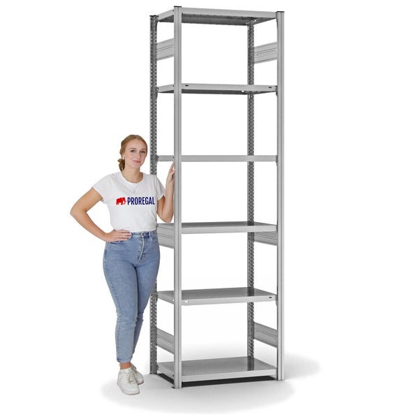 PROREGAL Fachbodenregal Stecksystem T-Profil Heavy-Duty Grundregal HxBxT 250 x 75 x 40 cm 6 Ebenen Fachlast 315 kg Beidseitig Nutzbar Verzinkt