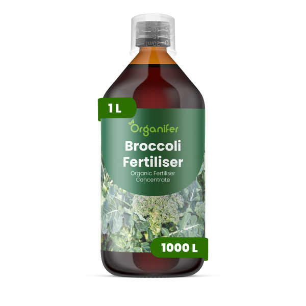Organifer Brokkoli-Dünger, organisches Düngerkonzentrat, 1 Liter Flasche für 1000 Liter.