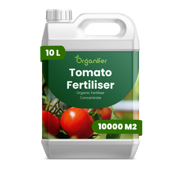 Organifer Tomatendünger, organisches Düngerkonzentrat, 10 Liter Kanister für 10000 Quadratmeter.