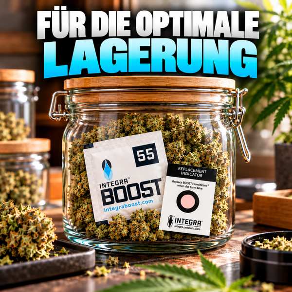 Integra Boost Feuchtigkeitsregulator im Vorratsglas mit Deckel zur optimalen Lagerung von Pflanzenmaterial.