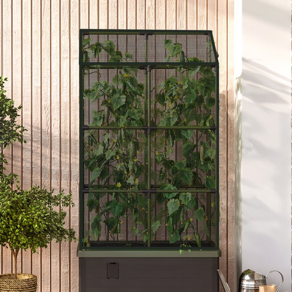 Vertikales Gewächshaus mit Netzabdeckung und integriertem Pflanzkasten, bepflanzt mit Kletterpflanzen vor einer Holzwand.