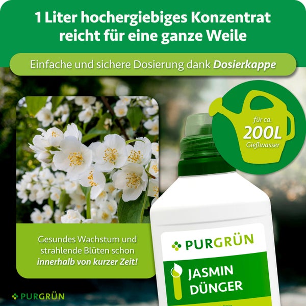 Eine Flasche Purgrün Jasmin Dünger Konzentrat mit Dosierkappe für zweihundert Liter Gießwasser vor einem blühenden Jasminstrauch.