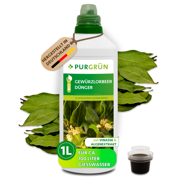 Purgrün Bio Gewürzlorbeer Dünger in einer 1 Liter Flasche mit Vinasse und Algenextrakt für aromatisches Wachstum von Lorbeerpflanzen.